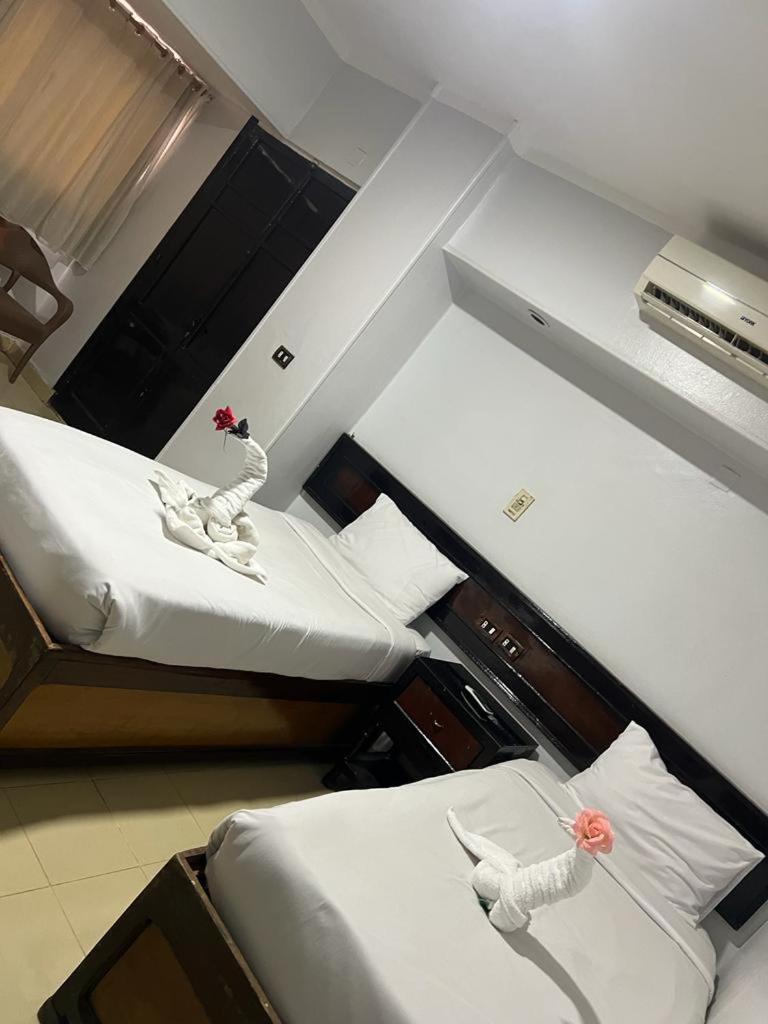 Oscar Hotel Асуан Екстериор снимка